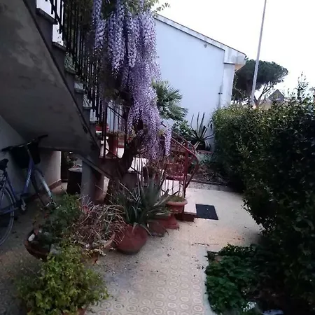 Stella Apartment