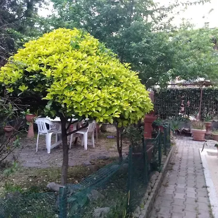 Apartamento Stella Cecina (Livorno)