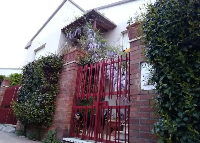 Stella * Cecina (Livorno)